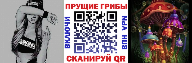 Псилоцибиновые грибы мицелий  Вытегра 